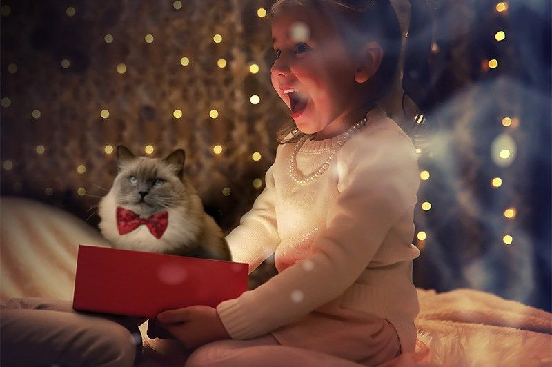 Vier kerst met Sterrenburg thumbnail