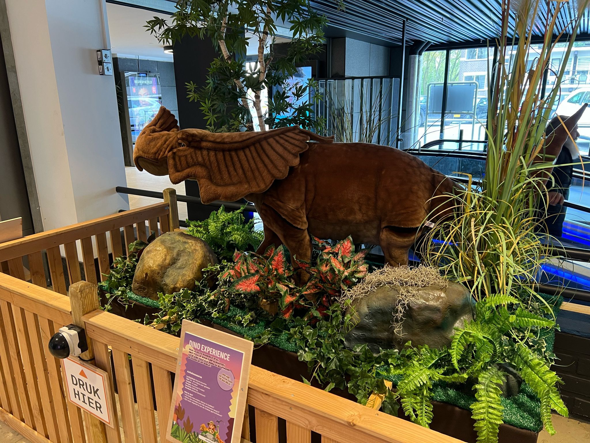 dino experience sterrenburg