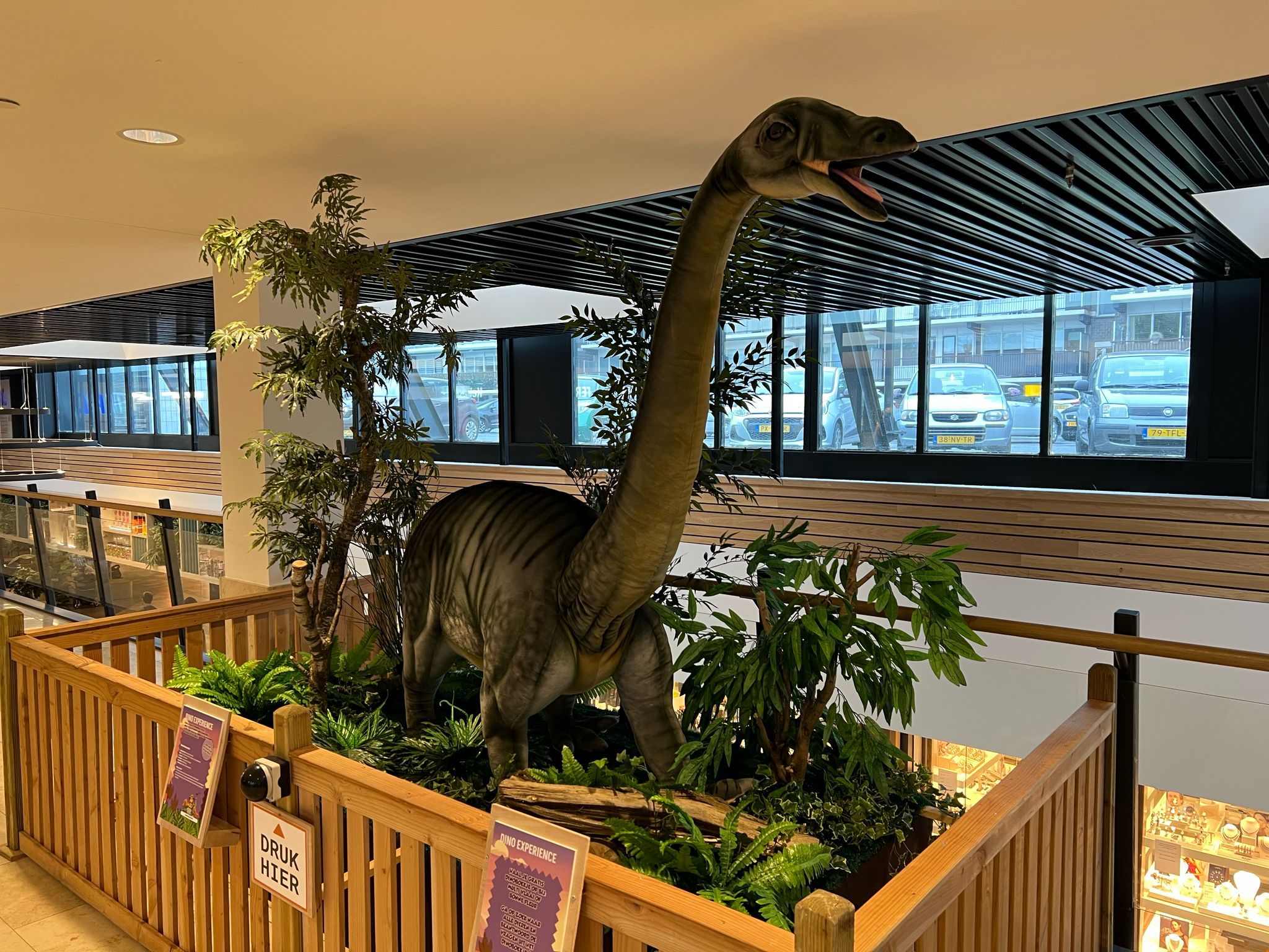 dino experience sterrenburg